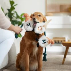 Frisco Mother's Day Gnomes Plush With Rope Squeaky Dog Toy -Ultimate Pet Shop 327037 PT3. AC SS1800 V1646948102