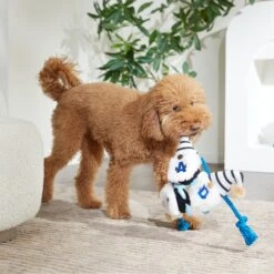 Frisco Dad Gnome Plush With Rope Dog Toy -Ultimate Pet Shop 327053 PT3. AC SS1800 V1648667286