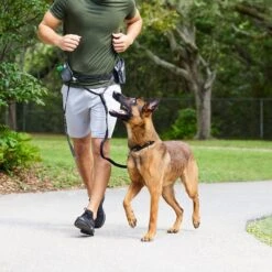 Frisco Outdoor Running Belt With Bungee Dog Leash 12 Frisco Outdoor Running Belt With Bungee Dog Leash -Ultimate Pet Shop 331408 PT6. AC SS1800 V1660078547
