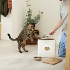 Frisco Premium Airtight Dog & Cat Food Storage Canister With Scoop -Ultimate Pet Shop 331486 PT3. AC SS1800 V1657656891