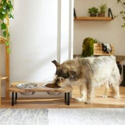 Frisco Premium Wood Elevated Bone Shape Stainless Steel Double Diner Dog & Cat Bowl, 3 Cup -Ultimate Pet Shop 331497 PT2. AC SS1800 V1657656892