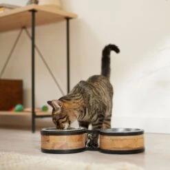 Frisco Premium Elevated Bone Design Stainless Steel Double Diner Dog & Cat Bowl -Ultimate Pet Shop 331499 PT3. AC SS1800 V1657656892