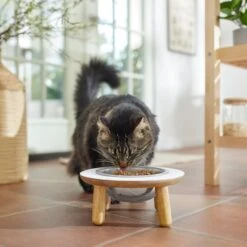 Frisco Premium Round Shape Elevated Single Dog & Cat Bowl -Ultimate Pet Shop 331502 PT3. AC SS1800 V1657656892