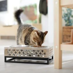 Frisco Premium Wood Elevated Stainless Steel Double Diner Dog & Cat Bowl, 3 Cup -Ultimate Pet Shop 331507 PT3. AC SS1800 V1657656894