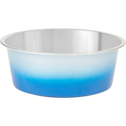 Frisco Ombre Design Stainless Steel Dog & Cat Bowl -Ultimate Pet Shop 331516 MAIN. AC SS1800 V1657656895