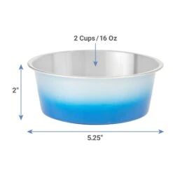 Frisco Ombre Design Stainless Steel Dog & Cat Bowl -Ultimate Pet Shop 331516 PT1. AC SS1800 V1661891841