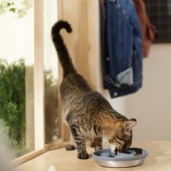 Frisco Silicone Stainless Paw Steel Slow Feeder Dog & Cat Bowl -Ultimate Pet Shop 331528 PT3. AC SS1800 V1657656874