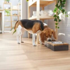 Frisco Premium Stainless Steel Double Diner Dog & Cat Bowl, Black -Ultimate Pet Shop 331532 PT2. AC SS1800 V1657656874