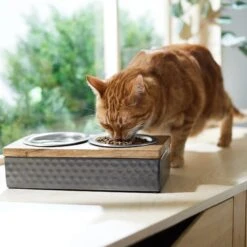 Frisco Premium Stainless Steel Double Diner Dog & Cat Bowl, Black -Ultimate Pet Shop 331532 PT3. AC SS1800 V1657656874