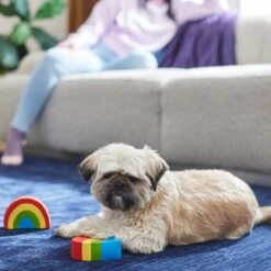 Frisco Pride Rainbow & Heart Latex Squeaky Dog Toy, 2 Count -Ultimate Pet Shop 331632 PT3. AC SS1800 V1647355825