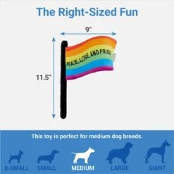Frisco Pride Flag Flat Squeaky Dog Toy 4 Frisco Pride Flag Flat Squeaky Dog Toy -Ultimate Pet Shop 331640 PT1. AC SS1800 V1649785014