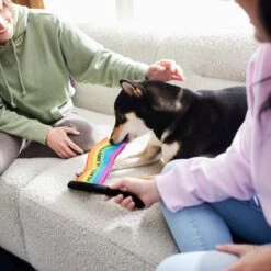 Frisco Pride Flag Flat Squeaky Dog Toy 5 Frisco Pride Flag Flat Squeaky Dog Toy -Ultimate Pet Shop 331640 PT3. AC SS1800 V1647355852