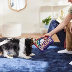 Frisco Pride Rainbow Plush With Rope Squeaky Dog Toy -Ultimate Pet Shop 331653 PT3. AC SS1800 V1647356026