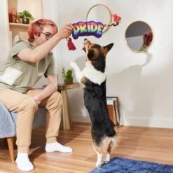 Frisco Pride Plush With Rope Squeaky Dog Toy -Ultimate Pet Shop 331661 PT3. AC SS1800 V1647356002