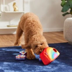 Frisco Pride Rainbow Hide & Seek Puzzle Plush Squeaky Dog Toy -Ultimate Pet Shop 331673 PT3. AC SS1800 V1647356070
