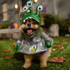 Frisco Front Walking Alien Dog & Cat Costume -Ultimate Pet Shop 334795 PT7. AC SS1800 V1657718966