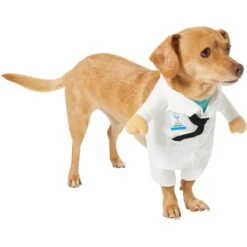 Frisco Front Walking Doctor Dog & Cat Costume -Ultimate Pet Shop 334900 PT3. AC SS1800 V1658344549