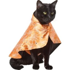 Frisco Spider Webbed Dog & Cat Costume Cape -Ultimate Pet Shop 334972 PT2. AC SS1800 V1658348259