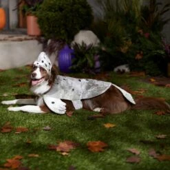 Frisco Seal Dog & Cat Costume -Ultimate Pet Shop 334983 PT7. AC SS1800 V1657730462