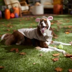 Frisco Hedgehog Dog & Cat Costume -Ultimate Pet Shop 334990 PT7. AC SS1800 V1657732628