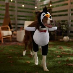Frisco Front Walking Penguin Dog & Cat Costume -Ultimate Pet Shop 335062 PT7. AC SS1800 V1657718971