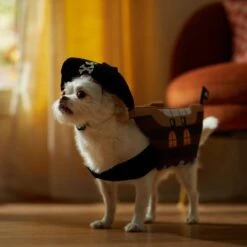 Frisco Pirate Ship Dog & Cat Costume -Ultimate Pet Shop 335078 PT7. AC SS1800 V1657656881