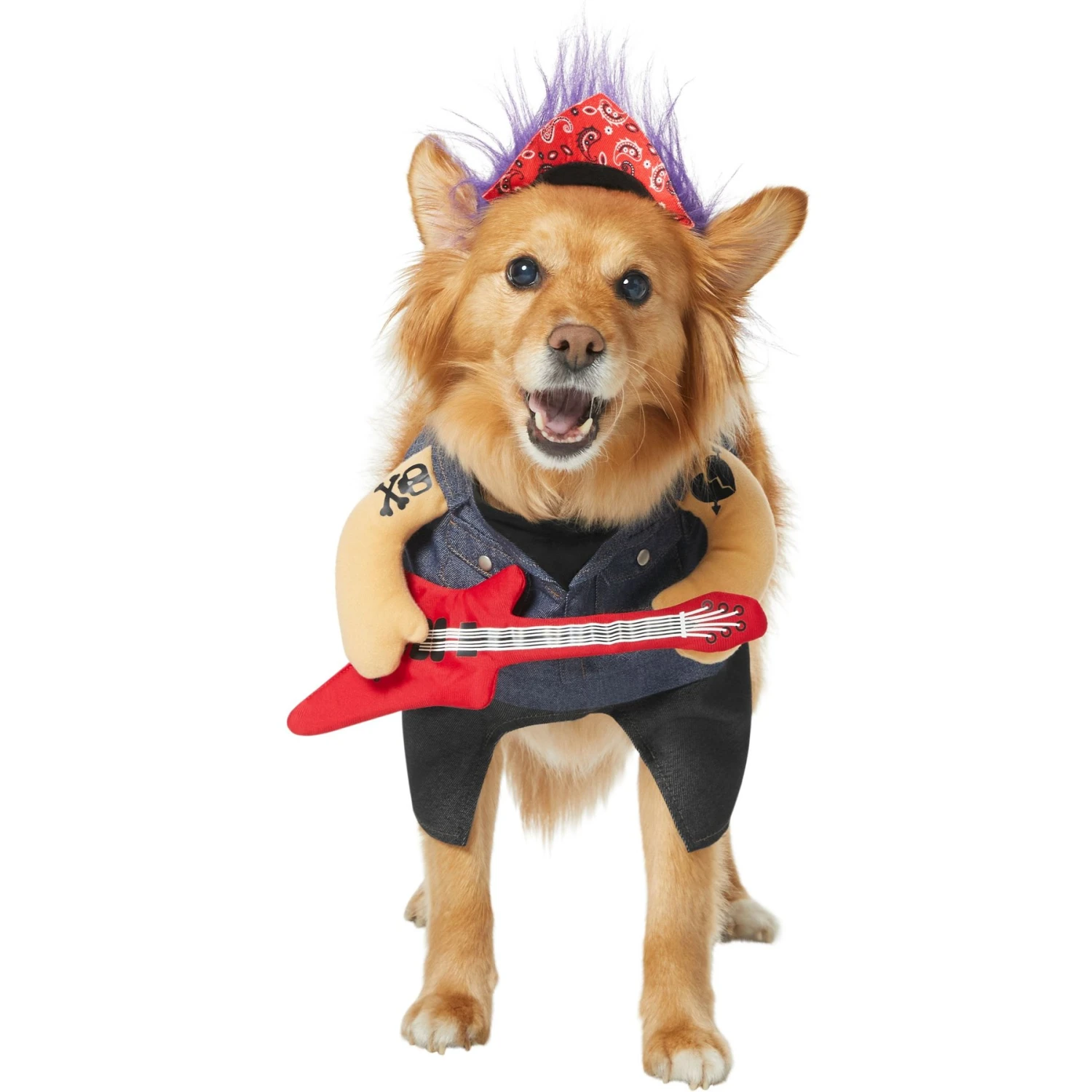Frisco Front Walking Punk Rocker Dog & Cat Costume 1 Frisco Front Walking Punk Rocker Dog & Cat Costume