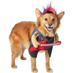 Frisco Front Walking Punk Rocker Dog & Cat Costume 11 Frisco Front Walking Punk Rocker Dog & Cat Costume -Ultimate Pet Shop 335087 PT3. AC SS1800 V1658346323