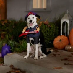 Frisco Front Walking Punk Rocker Dog & Cat Costume 14 Frisco Front Walking Punk Rocker Dog & Cat Costume -Ultimate Pet Shop 335087 PT7. AC SS1800 V1657732627