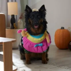 Frisco Front Walking Workout Girl Dog & Cat Costume -Ultimate Pet Shop 335111 PT7. AC SS1800 V1657656881