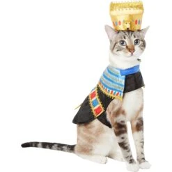 Frisco Royal Pharoah Dog & Cat Costume -Ultimate Pet Shop 335114 PT2. AC SS1800 V1658349300