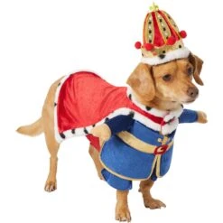 Frisco Front Walking Royal King Dog & Cat Costume -Ultimate Pet Shop 335127 PT3. AC SS1800 V1658346228