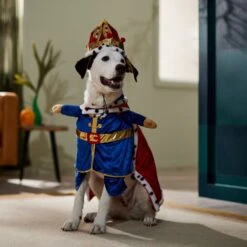 Frisco Front Walking Royal King Dog & Cat Costume -Ultimate Pet Shop 335127 PT7. AC SS1800 V1659037728