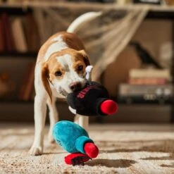 Frisco Halloween Elixirs Plush Squeaky Dog Toy 7 Frisco Halloween Elixirs Plush Squeaky Dog Toy -Ultimate Pet Shop 344004 PT3. AC SS1800 V1689878498