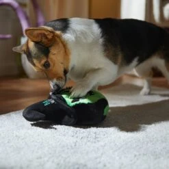 Frisco Halloween Bad Witch Round Plush Squeaky Dog Toy -Ultimate Pet Shop 344006 PT3. AC SS1800 V1657657029