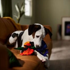 Frisco Halloween Bouquet Plush Squeaky Dog Toy -Ultimate Pet Shop 344018 PT3. AC SS1800 V1657657031