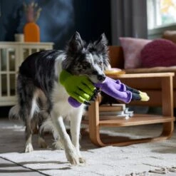 Frisco Halloween Candelabra Plush Squeaky Dog Toy -Ultimate Pet Shop 344022 PT3. AC SS1800 V1657657031