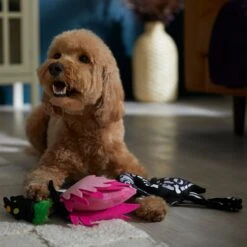 Frisco Halloween Flamingo Plush Squeaky Dog Toy -Ultimate Pet Shop 344123 PT3. AC SS1800 V1657657035