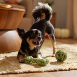 Frisco Halloween Glow In The Dark TPR Squeaky Bone & Ball Dog Toy -Ultimate Pet Shop 344130 PT3. AC SS1800 V1657657042