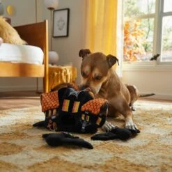 Frisco Halloween Haunted House Hide & Seek Puzzle Plush Squeaky Dog Toy -Ultimate Pet Shop 344136 PT3. AC SS1800 V1657657042
