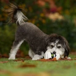 Frisco Halloween Mummy Latex Squeaky Dog Toy 6 Frisco Halloween Mummy Latex Squeaky Dog Toy -Ultimate Pet Shop 344140 PT3. AC SS1800 V1657657042