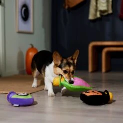 Frisco Halloween Potion Bottles Plush Squeaky Dog Toy -Ultimate Pet Shop 344144 PT3. AC SS1800 V1657657048