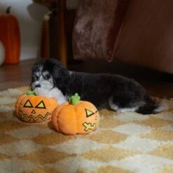 Frisco Halloween Scary Jack-O-Lantern Plush Squeaky Dog Toy -Ultimate Pet Shop 344158 PT3. AC SS1800 V1657657048