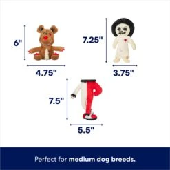 Frisco Halloween Scary Toy Box Hide & Seek Puzzle Plush Squeaky Dog Toy -Ultimate Pet Shop 344160 PT2. AC SS1800 V1689876502