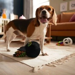 Frisco Halloween Succulents Plush Squeaky Dog Toy -Ultimate Pet Shop 344164 PT3. AC SS1800 V1657657049