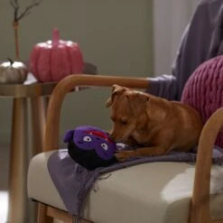 Frisco Halloween Vampire Round Plush Squeaky Dog Toy -Ultimate Pet Shop 344168 PT3. AC SS1800 V1657657049