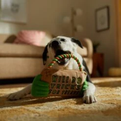 Frisco Halloween "Will Do Tricks For Treats" Sign Plush With Rope Squeaky Dog Toy -Ultimate Pet Shop 344172 PT3. AC SS1800 V1657657049