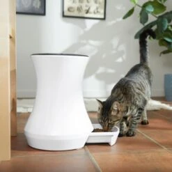 Frisco Automatic Cat & Dog Feeder, White, 13.5 Cup -Ultimate Pet Shop 345285 PT6. AC SS1800 V1658219294