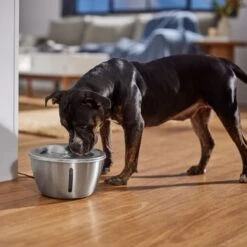 Frisco Stainless Steel Heart Dog & Cat Fountain -Ultimate Pet Shop 355816 PT5. AC SS1800 V1665684540