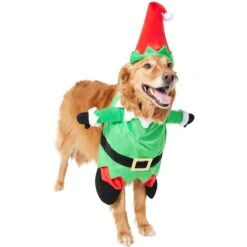 Frisco Front Walking Elf Dog & Cat Costume -Ultimate Pet Shop 357956 PT4. AC SS1800 V1660757458